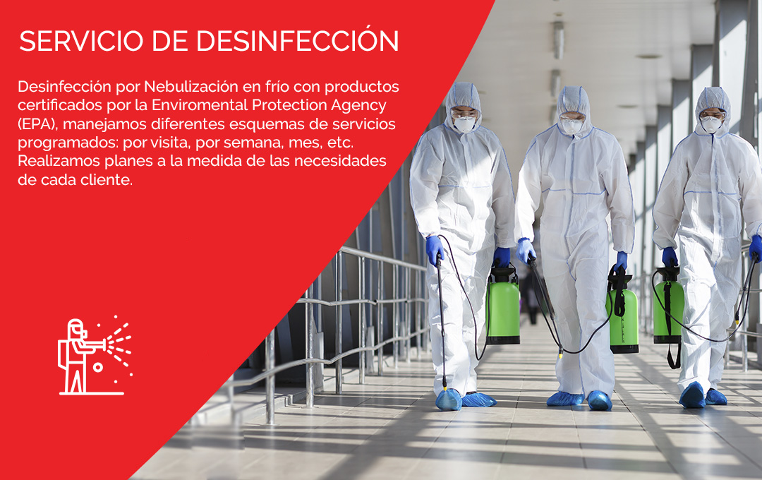 División de Promocionales - Grupo Sucesso